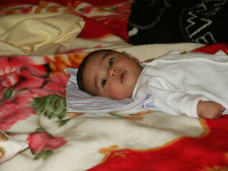 Photograph