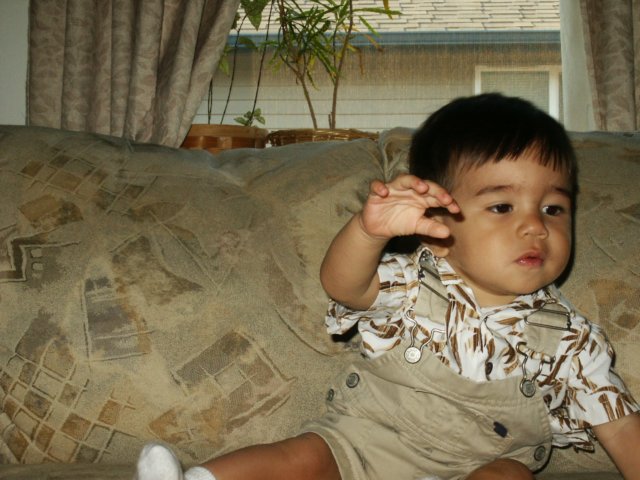 Photograph