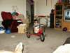 Photo Number 14